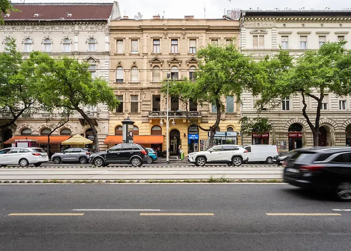 Elizabeth Boulevard Apartment